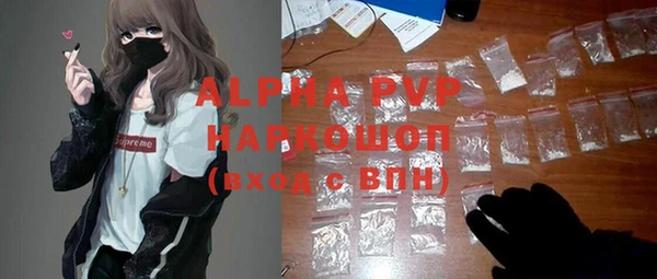 хмурый Пестово