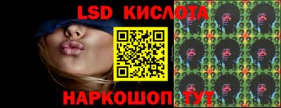 стафф Гатчина