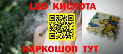 стафф Гатчина