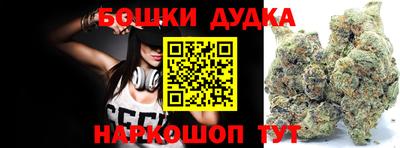 стафф Гатчина