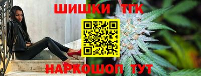 стафф Гатчина
