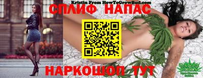 прущий лед Гагарин