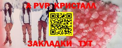 стафф Гатчина