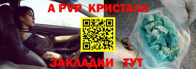 стафф Гатчина