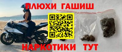 стафф Гатчина