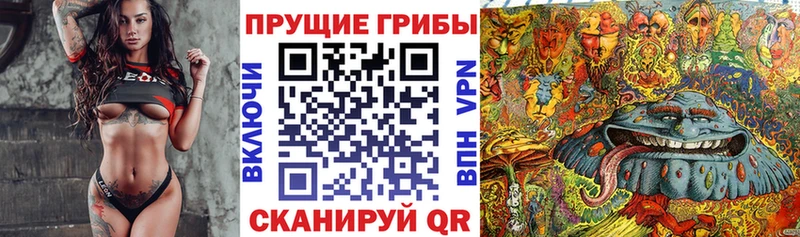 Псилоцибиновые грибы Psilocybe  Крымск 