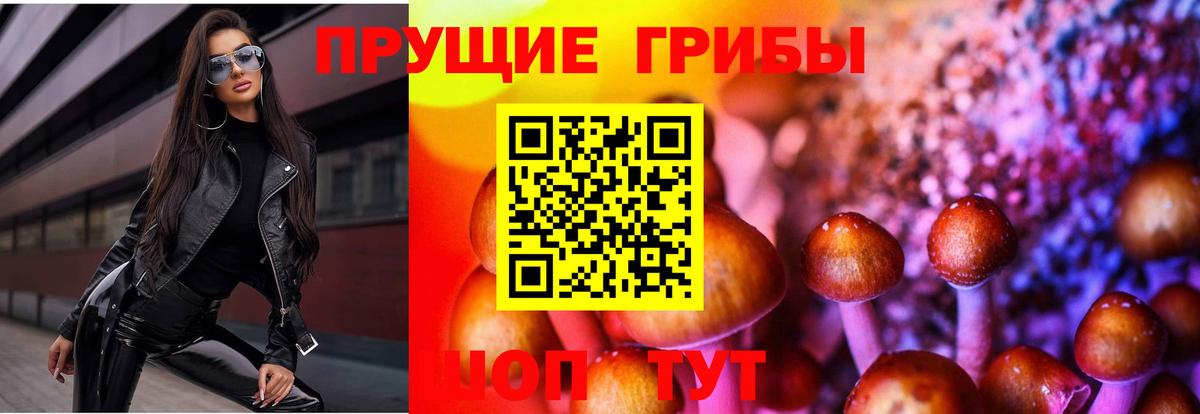 Крымск  Галлюциногенные грибы мицелий  Вход с VPN  Псилоцибиновые грибы прущие грибы 